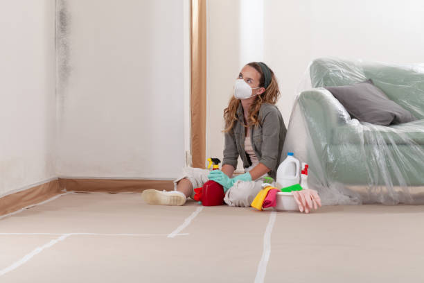 Reliable Mold Remediation contractor in Myerstown, PA by WQB Mold Removal